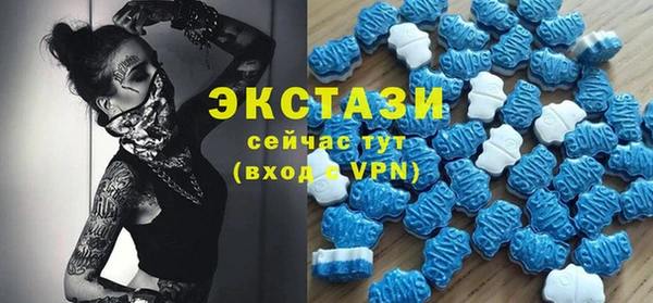 МДПВ Снежинск