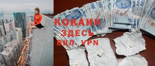 МДПВ Снежинск